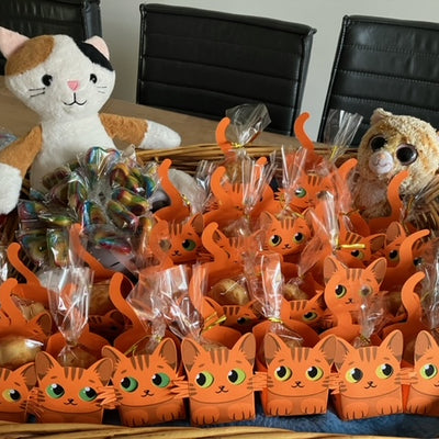 Katten oranje traktatie van Uitdelen.nu